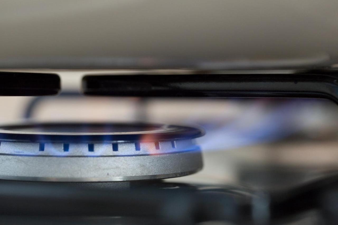 Superior One-Bedroom Apartment