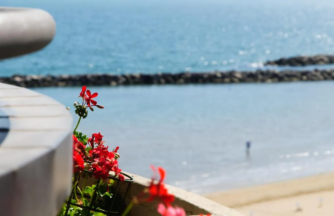 Residence Belvedere Vista - Seafront-1