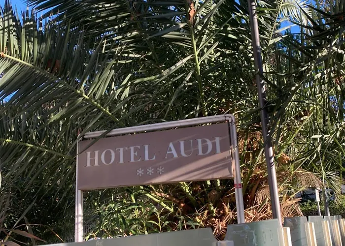 Hotel Audi Frontemare